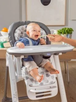 Chaise Haute évolutive CHICCO Polly Progres5 Gris - Chicco