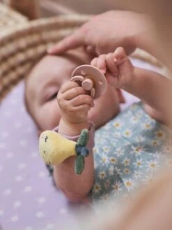 Hochets Mains Et Pieds DOUCE PROVENCE Violet - Douce Provence - Vertbaudet -Vertbaudet Soldes Magasin hochets mains et pieds douce provence 5