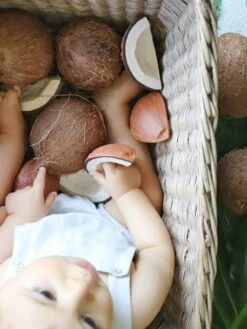 Jouet De Dentition Coco La Noix De Coco - OLI & CAROL Marron - Oli Et Carol 11 Jouet De Dentition Coco La Noix De Coco - OLI & CAROL Marron - Oli Et Carol -Vertbaudet Soldes Magasin jouet de dentition coco la noix de coco oli carol 5