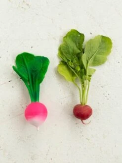 Jouet De Dentition Ramona Le Radis - OLI & CAROL Rose - Oli Et Carol -Vertbaudet Soldes Magasin jouet de dentition ramona le radis oli carol 5