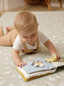 Livre D'Eveil Little Goose - LITTLE DUTCH Vert - Little Dutch -Vertbaudet Soldes Magasin livre deveil little goose little dutch 3