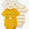 Lot De 3 Bodies Emmanchure Américaine Tigre Bébé Manches Courtes Lot Ivoire - Vertbaudet