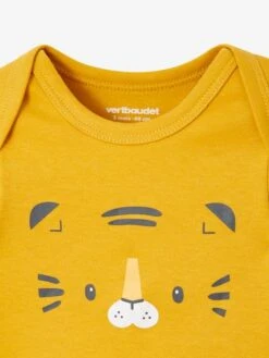 Lot De 3 Bodies Emmanchure Américaine Tigre Bébé Manches Courtes Lot Ivoire - Vertbaudet -Vertbaudet Soldes Magasin lot de 3 bodies emmanchure americaine tigre bebe manches courtes 5
