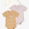 Lot De 3 Bodies Manches Courtes Bébé Ouverture Naissance Lilas - Vertbaudet