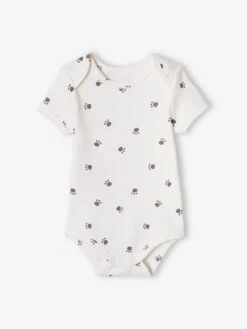 Lot De 3 Bodies "renard" Bébé Manches Courtes Beige Poudré - Vertbaudet -Vertbaudet Soldes Magasin lot de 3 bodies renard bebe manches courtes 2