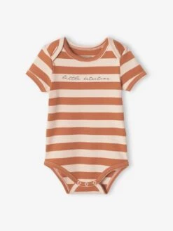 Lot De 3 Bodies "renard" Bébé Manches Courtes Beige Poudré - Vertbaudet -Vertbaudet Soldes Magasin lot de 3 bodies renard bebe manches courtes 3