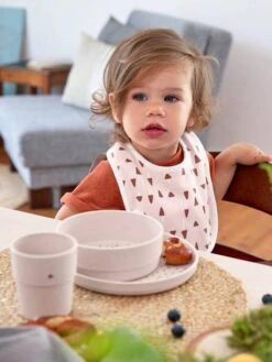 Lot De 5 Bavoirs Bébé LÄSSIG En Coton Biologique Lot De 5 Little Forest Renard - Lassig -Vertbaudet Soldes Magasin lot de 5 bavoirs bebe lassig en coton biologique 3