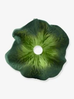 Mini Doudou Kendall Le Kale - OLI & CAROL Vert - Oli Et Carol -Vertbaudet Soldes Magasin mini doudou kendall le kale oli carol 2