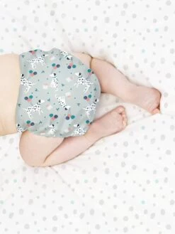 Miosolo Couche Lavable Tout-en-un BAMBINO MIO Doux Citron - Bambino Mio -Vertbaudet Soldes Magasin miosolo couche lavable tout en un bambino mio 5