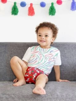 Miosolo Pack De Couches Lavables BAMBINO MIO Panier Fruité - Bambino Mio 10 Miosolo Pack De Couches Lavables BAMBINO MIO Panier Fruité - Bambino Mio -Vertbaudet Soldes Magasin miosolo pack de couches lavables bambino mio 4