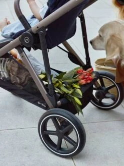 Poussette évolutive CYBEX Gold Gazelle S Deep Black - Cybex -Vertbaudet Soldes Magasin poussette evolutive cybex gold gazelle s 3