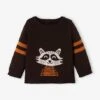 Pull Bébé Tricot Raton-laveur Chocolat - Vertbaudet