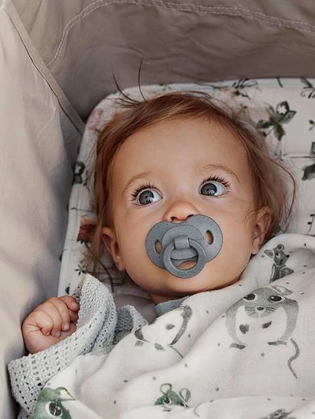 Sucette Orthodontique ELODIE DETAILS Physiologique Bleue (tender Bl - Elodie Details 6 Sucette Orthodontique ELODIE DETAILS Physiologique Bleue (tender Bl - Elodie Details – Image 6