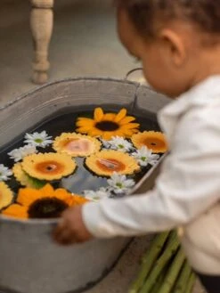 Sun Le Tournesol - OLI & CAROL Jaune - Oli Et Carol -Vertbaudet Soldes Magasin sun le tournesol oli carol 3