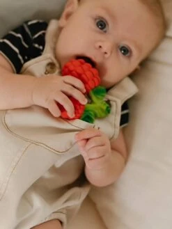 Valery La Framboise - OLI & CAROL Rouge - Oli Et Carol -Vertbaudet Soldes Magasin valery la framboise oli carol 2