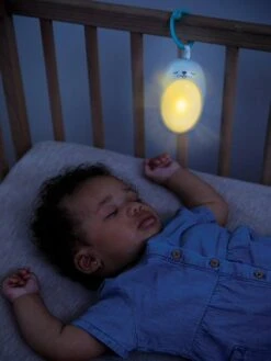 Veilleuse Bébé Otarie Douce Nuit 3 En 1 - INFANTINO Gris - Infantino -Vertbaudet Soldes Magasin veilleuse bebe otarie douce nuit 3 en 1 infantino 4